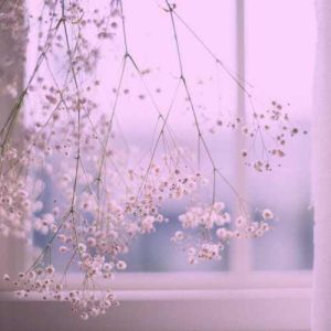 دانلود آهنگ میگن اسمش ثریاست چشاش هم رنگ دریاست